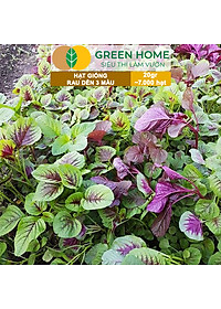 Hạt Giống Rau Dền 3 Màu Greenhome, Gói 20g~7000 hạt, Dễ Trồng Quanh Năm, Nảy Mầm Cao, Thu Hoạch Nhanh, Năng Suất Cao R15
