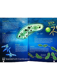 Sách Động Vật Kỳ Quặc