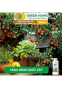 Phân Đạm Cá Hữu Cơ Sinh Học GreenHome, Dịch Cá Biển Thủy Phân K10, Chai 500ml, Hàm Lượng Dinh Dưỡng Cao, Thế Hệ Mới, Công Nghệ Nhật Bản