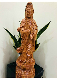 product-img-1