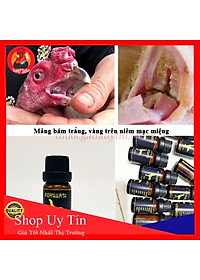 product-img-0