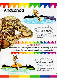 Sách My First Questions & Answers - Rainforest