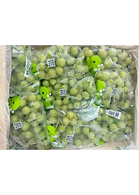 product-img-2