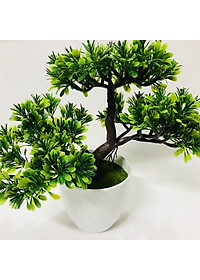 product-img-11