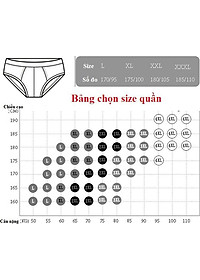 Bộ 5 Quần Lót Nam Tam Giác Xuất Nhật Chất Mát (Màu Ngẫu Nghiên)