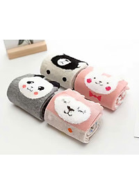 product-img-12