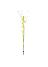 product-img-10