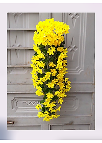 product-img-9