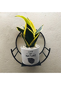 Kệ Treo Trang Trí Hình Bán Nguyệt Dán Tường Tiện Dụng ,Giá Treo Chậu Hoa Ban Công Phòng Khách- Phong Cách Hiện Đại- Chính Hãng MINIIN