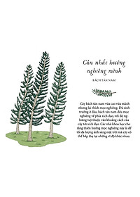 Sống Như Những Cái Cây - Những Bài Học Nhỏ Để Có Nguồn Hạnh Phúc Bất Tận (Tái Bản 2021)