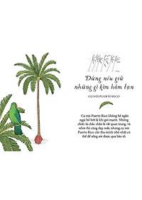 Sống Như Những Cái Cây - Những Bài Học Nhỏ Để Có Nguồn Hạnh Phúc Bất Tận (Tái Bản 2021)