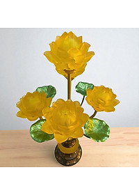 product-img-7