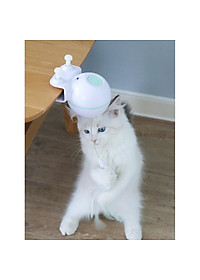 product-img-3