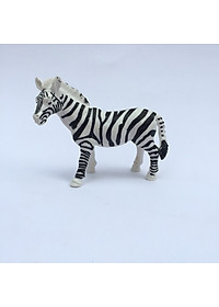 product-img-10
