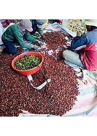 Hộp Quà Cà Phê Cầu Đất Dalat Farm - Arabica - Robusta - Phin (Dạng bột)