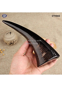 Chóp sừng trâu vật phẩm phong thủy (OTH003) HOT nhất của năm trâu vàng 2021 - giàu sang - phú quý 