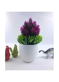 product-img-9