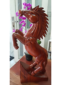 product-img-6