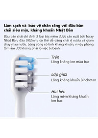 Bàn chải điện Xiaomi Shell DR-BEI Sonic BET-C01- Hàng Nhập Khẩu