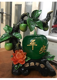 product-img-2