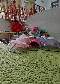 product-img-2