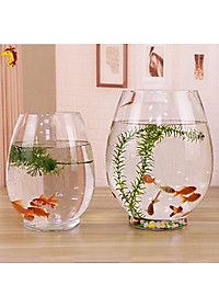 Chậu thuỷ tinh miệng khum chuyên dùng trồng cây thủy sinh, thủy canh, bình nuôi cá để bàn