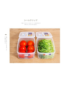 Combo 04 hộp nhựa cao cấp bảo quản thực phẩm Nakaya hình chữ nhật (Full size) - Nội địa Nhật Bản
