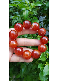 product-img-19