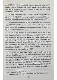 product-img-10