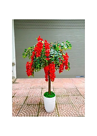 product-img-7