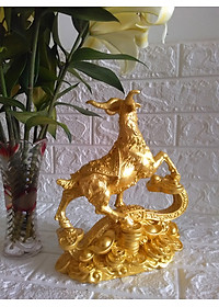 product-img-4