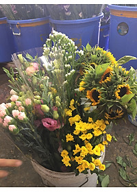 Dung Dịch Xử Lý Hoa TOG Galileo của ISRAEL (Chai 1 Lít) dùng bảo quản hoa cắt cành tươi lâu tại Nhà Vườn Trồng Hoa, Vựa Hoa và Chợ Sỉ Hoa. Tỷ lệ dung dịch 0.1% tức chai 1 Lít TOG pha được 1.000 Lít dung dịch xử lý hoa