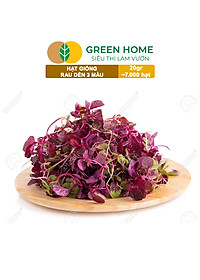 Hạt Giống Rau Dền 3 Màu Greenhome, Gói 20g~7000 hạt, Dễ Trồng Quanh Năm, Nảy Mầm Cao, Thu Hoạch Nhanh, Năng Suất Cao R15