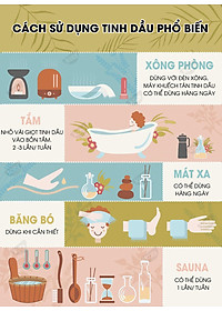 Tinh Dầu Tràm Trà Kobi Tea Tree Essential Oil Giúp Chăm Sóc Da, Thanh Lọc Không Khí, Kháng Khuẩn Hiệu Quả