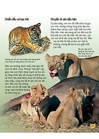 Sách Bách Khoa Tri Thức Về Khám Phá Thế Giới Cho Trẻ Em - Các Loài Mèo Lớn (Tái Bản 2018)