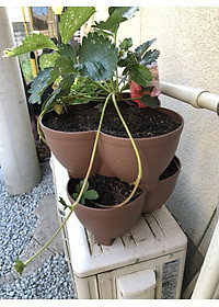 product-img-7