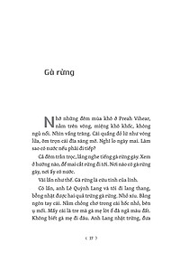 product-img-13