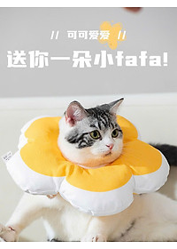 product-img-33