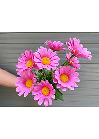 product-img-7