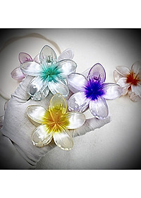 Kẹp tóc hoa sứ tráng gương chất lượng cao