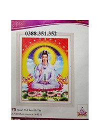 product-img-1