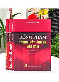 Đồng Phạm Trong Luật Hình Sự Việt Nam