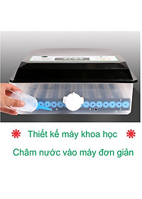 product-img-4