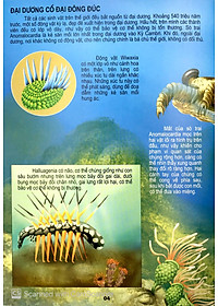 Sách Thế Giới Động Vật Kì Thú - Động Vật Thời Cổ Đại