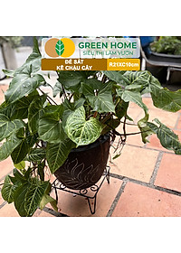 Đế Kê Chậu Cây Greenhome, R21xc10cm, Bằng Sắt Sơn Tĩnh Điện, Màu Đen, Uốn Mỹ Nghệ, Bền, Đẹp, Nhiều Hình Dạng Lựa Chọn