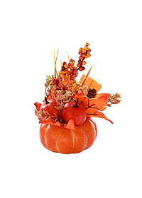 product-img-8