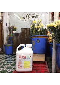 Dung Dịch Xử Lý Hoa TOG Galileo của ISRAEL (Chai 1 Lít) dùng bảo quản hoa cắt cành tươi lâu tại Nhà Vườn Trồng Hoa, Vựa Hoa và Chợ Sỉ Hoa. Tỷ lệ dung dịch 0.1% tức chai 1 Lít TOG pha được 1.000 Lít dung dịch xử lý hoa