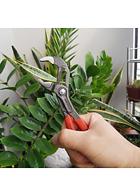 Kìm Nước Cobra Mini KNIPEX - 87 01 125