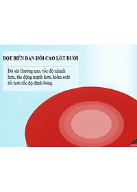 Bộ 2 Vợt Bóng Bàn Chính Hãng miDoctor + Túi Đựng Vợt Bóng Bàn + 3 Bóng 