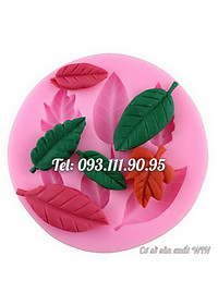 product-img-3